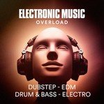 Masters of Electronic Dance Music Songs MP3 Download